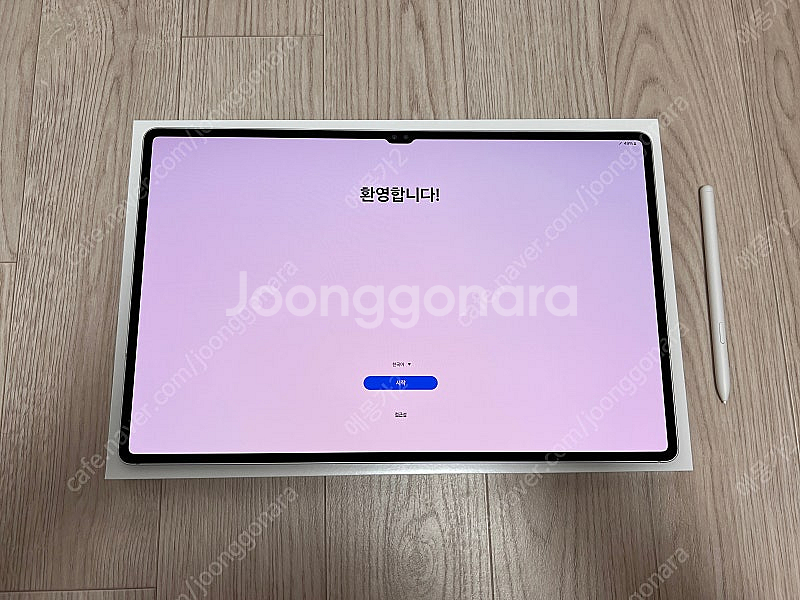 삼성 갤럭시탭 S10 울트라 1TB WIFI 실버--1