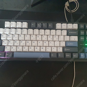 독거미 f87pro 황축 국내정발