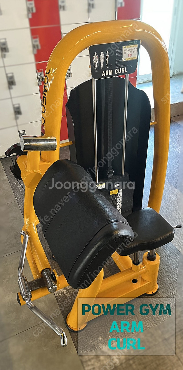 [중고] 미강 파워짐 POWER GYM 암컬 머신 AR...--2