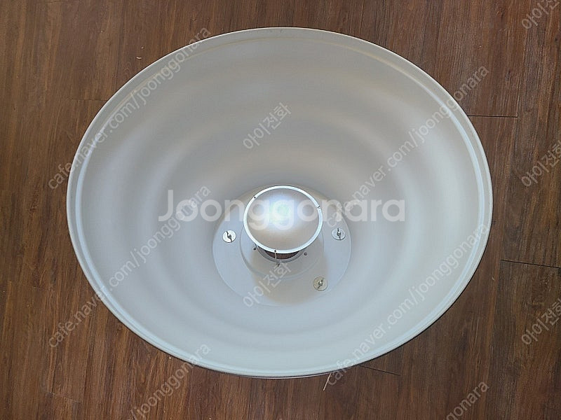 몰라뷰티디쉬 setti 뷰티디쉬 중국산 72cm, 포맥...--2