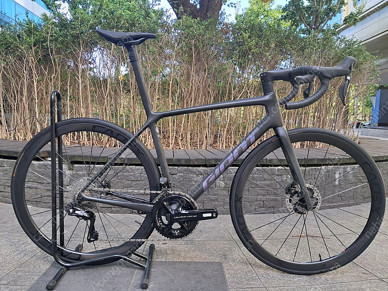 23년 GIANT TCR ADVANCED SL0 (자이...--0