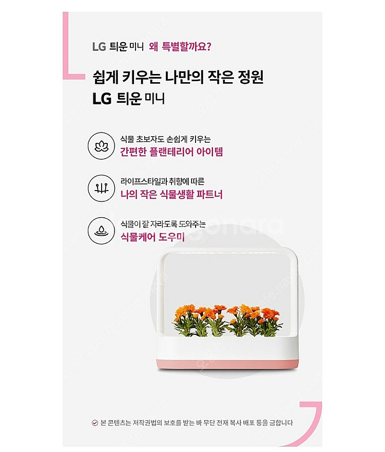 LG 틔운 미니 핑크 미개봉 새제품 팔아요--2