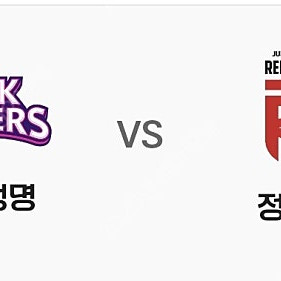 흥국생명 vs 정관장 5차전 여자배구