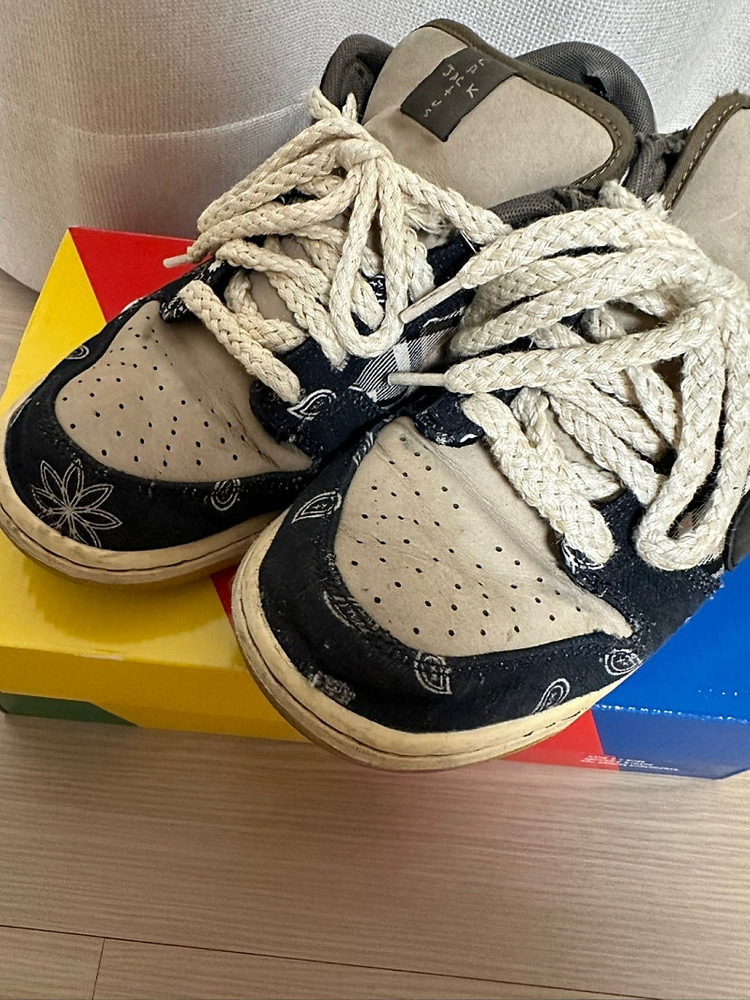 스캇 덩크 로우 이미지