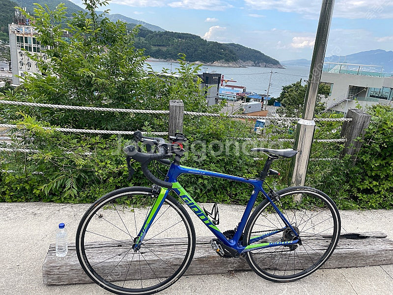 로드자전거 자이언트TCR 어드밴스2--0