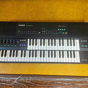 CASIO 카시오DM-100 2단건반 키보드 전자올겐