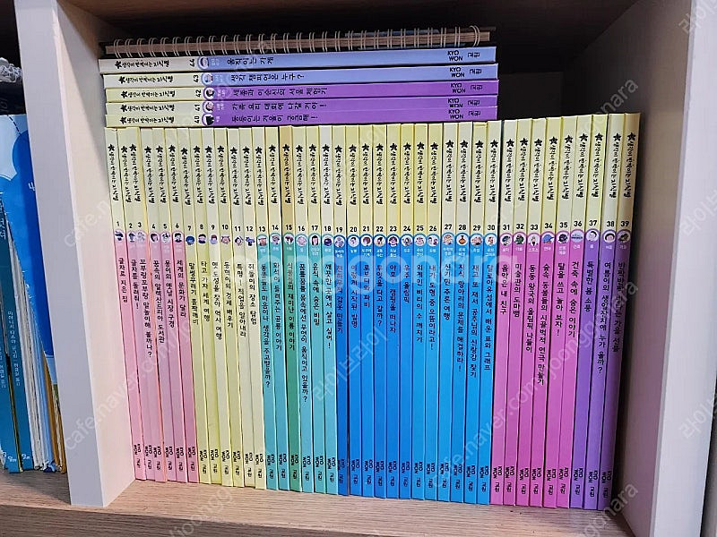 생각이 반짝이는 지식별 교원책 (큐알가능) 상태깨끗 거...--3
