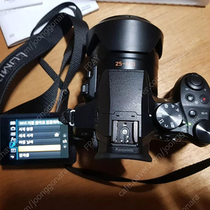 파나소닉 루믹스 FZ300 4K 카메라 팝니다
