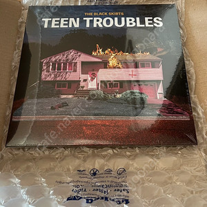 검정치마 TEEN TROUBLES LP 미개봉
