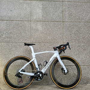 피나렐로 도그마F 크리스탈화이트 515