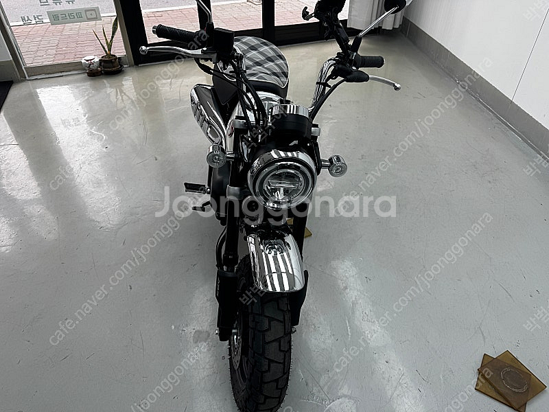 몽키 125 (2024년식 / 135km) 완전 신차급...--1