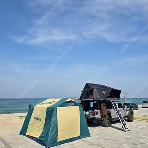 프로스펙스 빈티지 케빈텐트