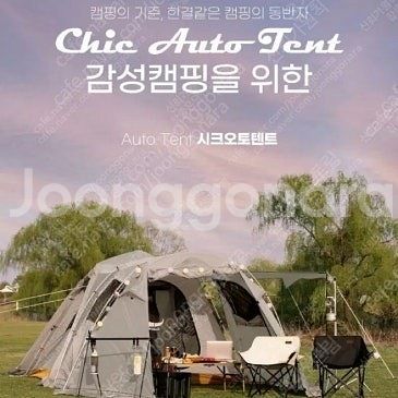 버팔로 시크 오토,대형,원터치 텐트CTE0033IV(정...--0