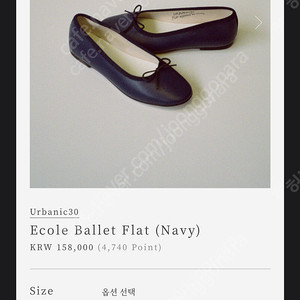 얼바닉 30 에꼴 발레 플랫슈즈 블랙