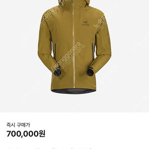 아크테릭스 제타 sl 판매
