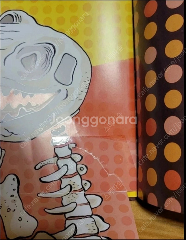 사파리 모두누리 40권+사운드펜+그림책기차--9