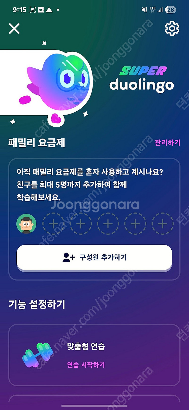 듀오링고 패밀리 1년 멤버 구합니다--1