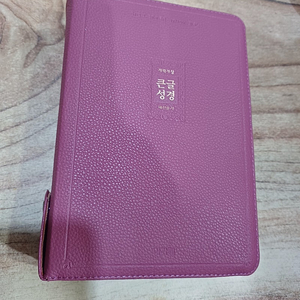 개역 개정 ..큰글성경_ 새찬송가 .(아기페)
