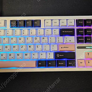 AULA 독거미 F108 펀키스 정발 세이야축