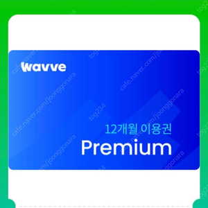 웨이브 프리미엄 12개월 이용권