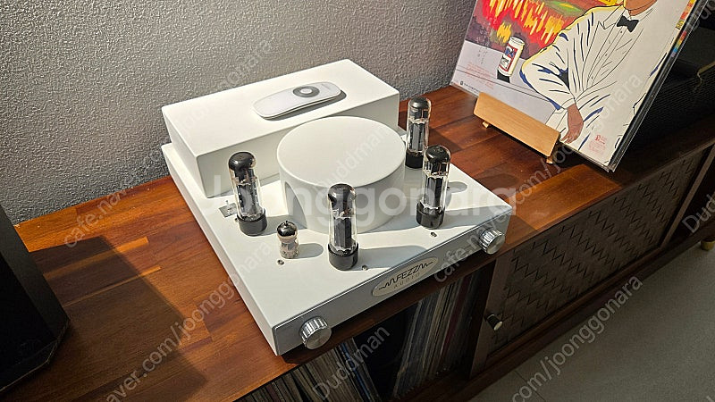 (EL34 진공관 앰프) 페즈오디오 실버루나 화이트--0