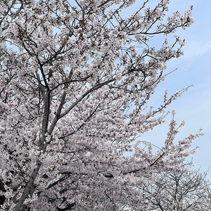 4/9(수) 한화 두산 216블럭 블루 통로 2연석