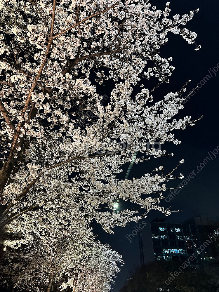 콜드플레이 4.24 20시 S석--0