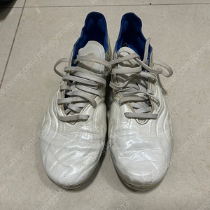 아디다스 코파센스.1ag 255