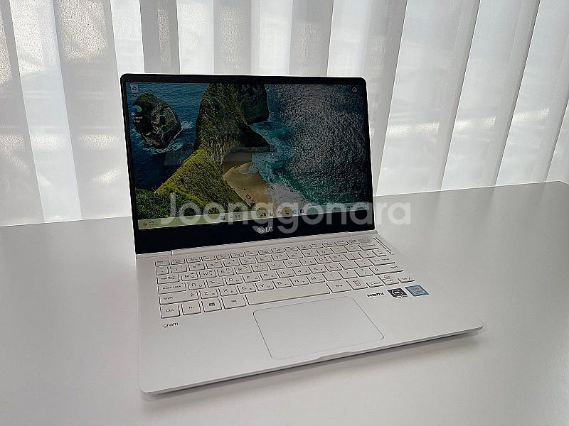 LG전자 그램 13인치 13ZD980-GX50K (SS...--1