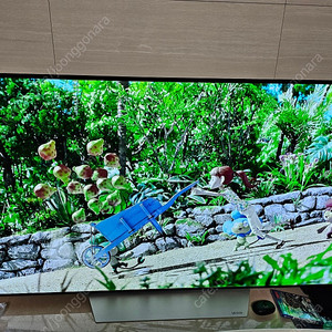 LG TV 65인치 OLED65C7P