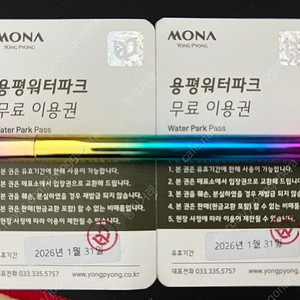 용평워터파크 이용권