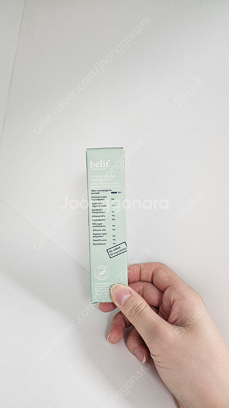 빌리프스팟젤--0