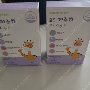 총영하이 프로키즈디