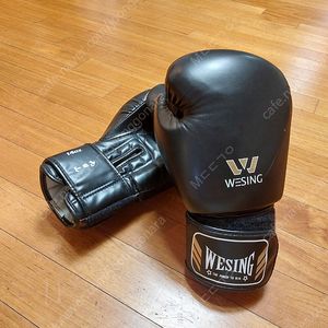위싱 14oz 복싱글러브