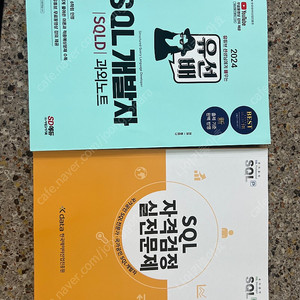 SQLD 유선배, 노랭이