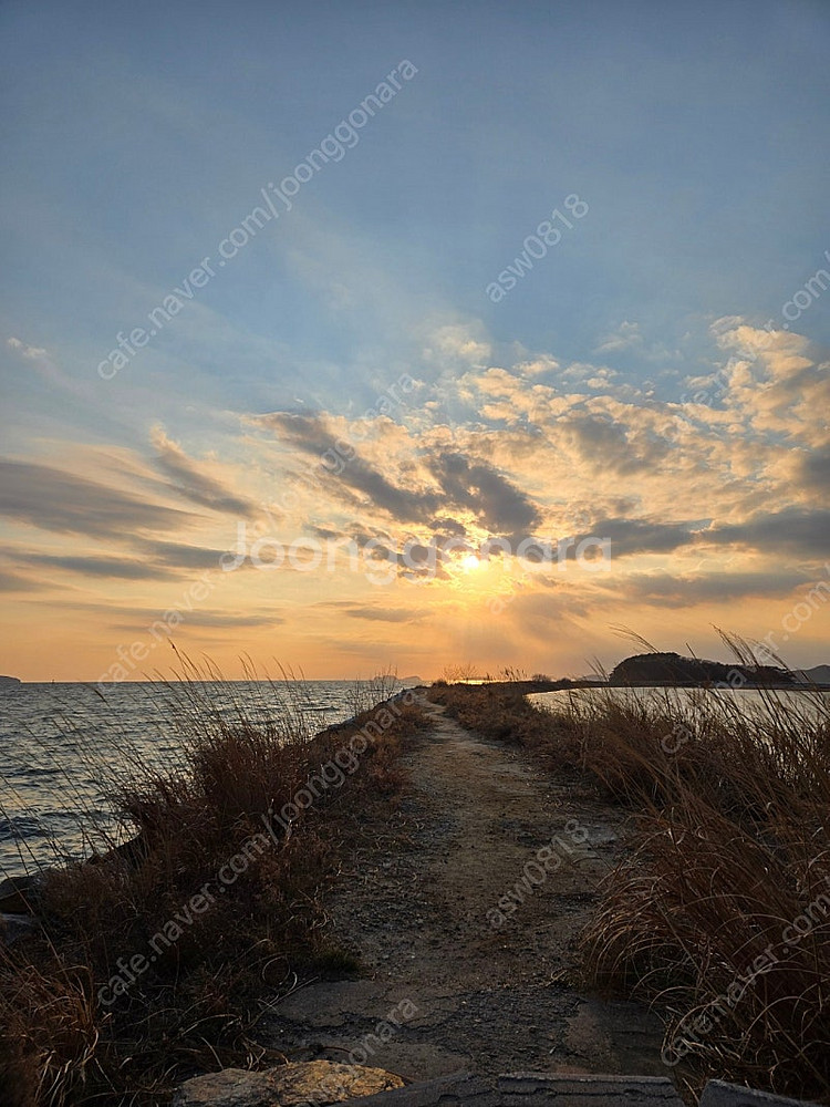 자전거 트레일러 삽니다--0