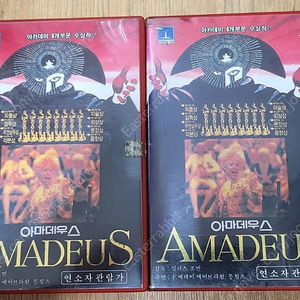 아마데우스 금성 초판 비디오테이프 싸게 판매