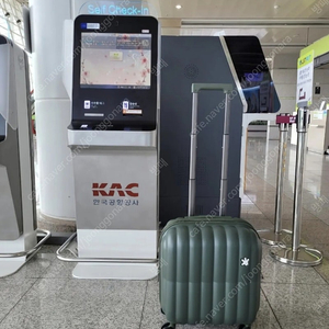 [새상품] 브라이튼 디즈니 하이포 캐리어 18인치 카키 팝니다