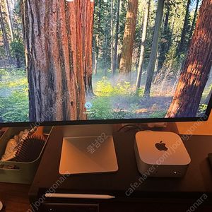 맥 미니 M4 PRO 14 CPU, 20 GPU, 24GB RAM, 512 SSD 10G기가 이더넷 apple 공홈구매