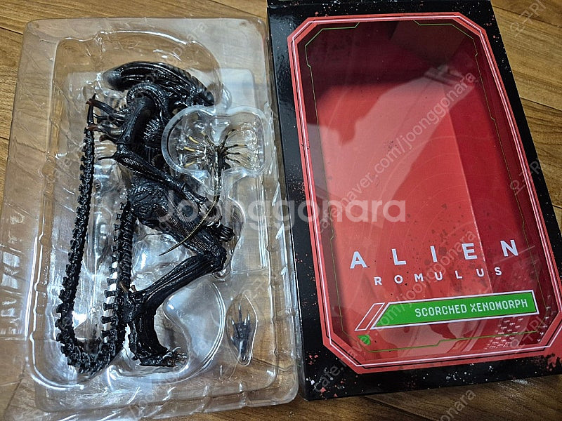 네카 에일리언 로물루스 판매--0