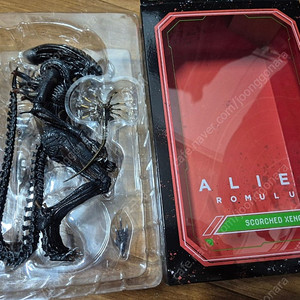 네카 에일리언 로물루스 판매