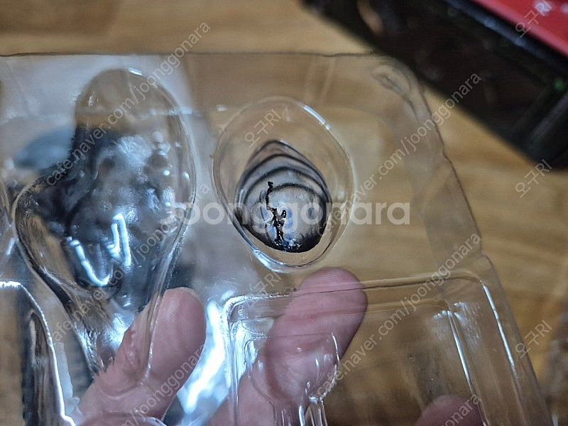 네카 에일리언 로물루스 판매--1