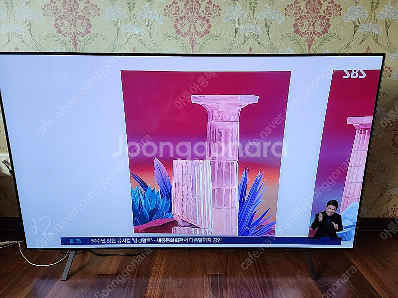 LG전자 올레드 EVO OLED65B4SNA 65인치 ...--1