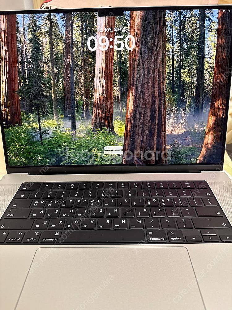 M4 Max 칩 맥북프로 1TB 48gb 메모리 40코...--1