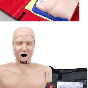 심폐소생술 CPR 애니 마네킹 성인 구매 하는중 사요