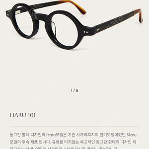 사가와 후지이 HARU101 안경