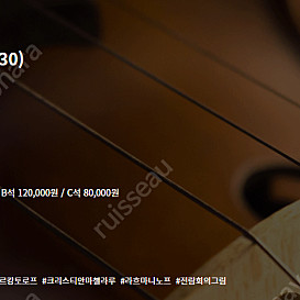 [티켓양도] 프랑스 국립 오케스트라(캉토로프)