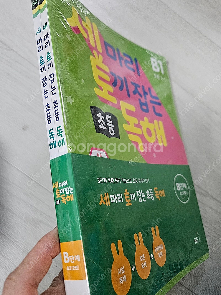 세마리 토끼 잡는 독해 B단계--0
