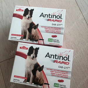 안티놀 antinol 래피드 관절약 새거