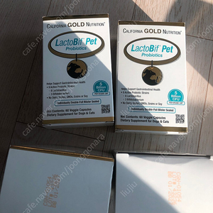 Lactobif 반려견 유산균